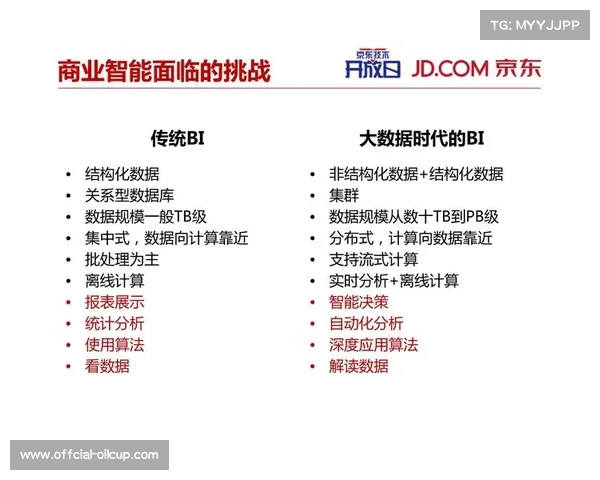 统计系统优化与先进分析工具应用提升数据精准度